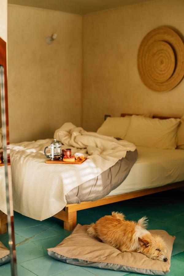 Boulenc Bed And Bread 호텔 오아하카주 외부 사진